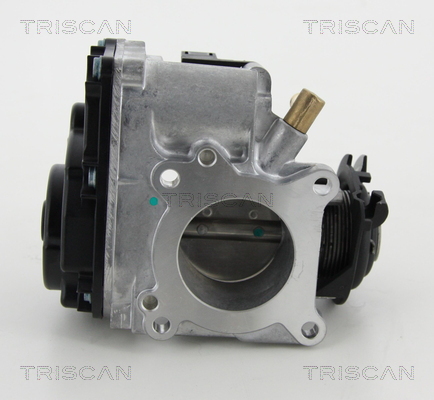 TRISCAN 8820 29012 Drosselklappenstutzen