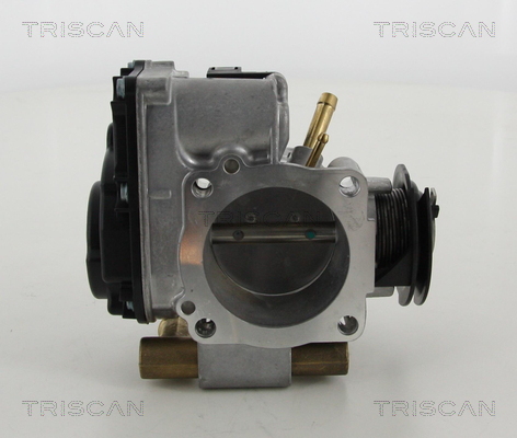 TRISCAN 8820 29014 Drosselklappenstutzen