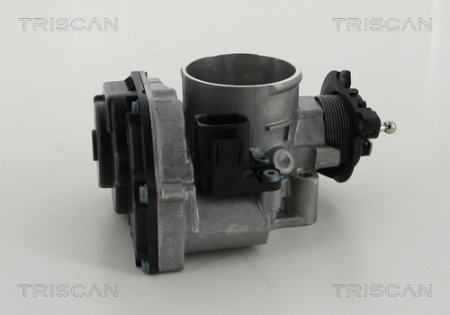 TRISCAN 8820 29018 Strupeventilstuss