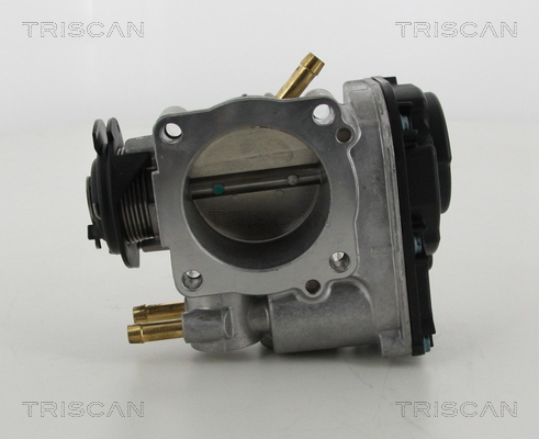 TRISCAN 8820 29021 Drosselklappenstutzen