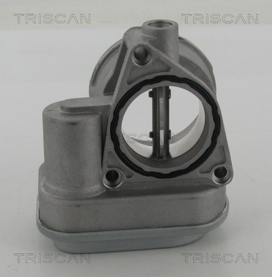 TRISCAN 8820 29029 Drosselklappenstutzen