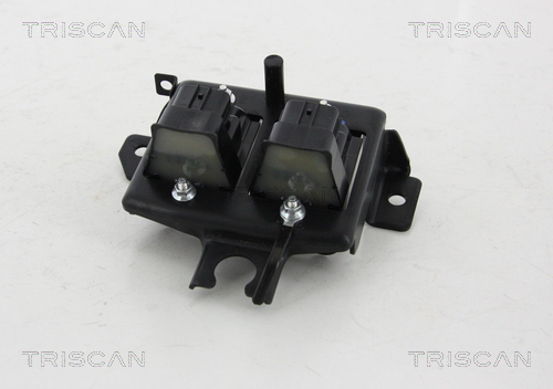 TRISCAN 8860 50020 Zündspule