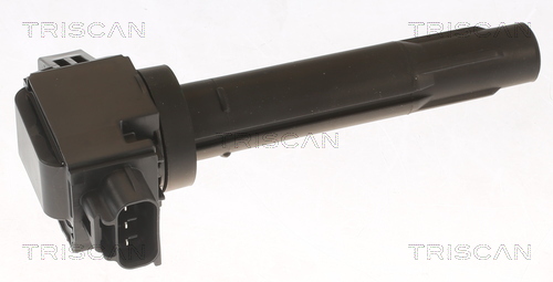 TRISCAN 8860 69017 Zündspule