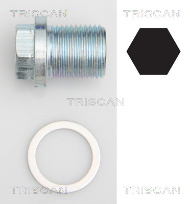 TRISCAN 9500 1002 Låsskruv, oljetråg