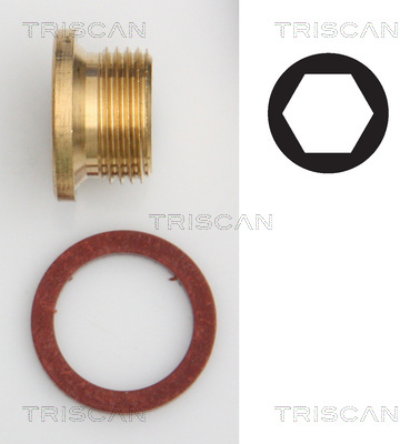 TRISCAN 9500 1005 Låsskruv, oljetråg