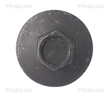 TRISCAN 9500 1009 Verschlussschraube, Ölwanne