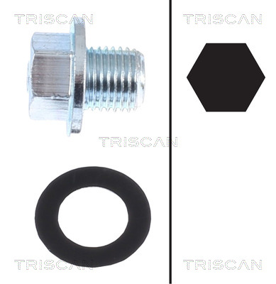 TRISCAN 9500 1013 Låsskruv, oljetråg