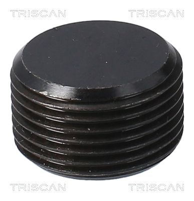 TRISCAN 9500 1015 Verschlussschraube, Ölwanne