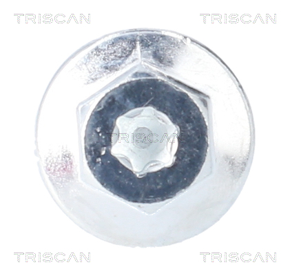 TRISCAN 9500 2407 Verschlussschraube, Ölwanne