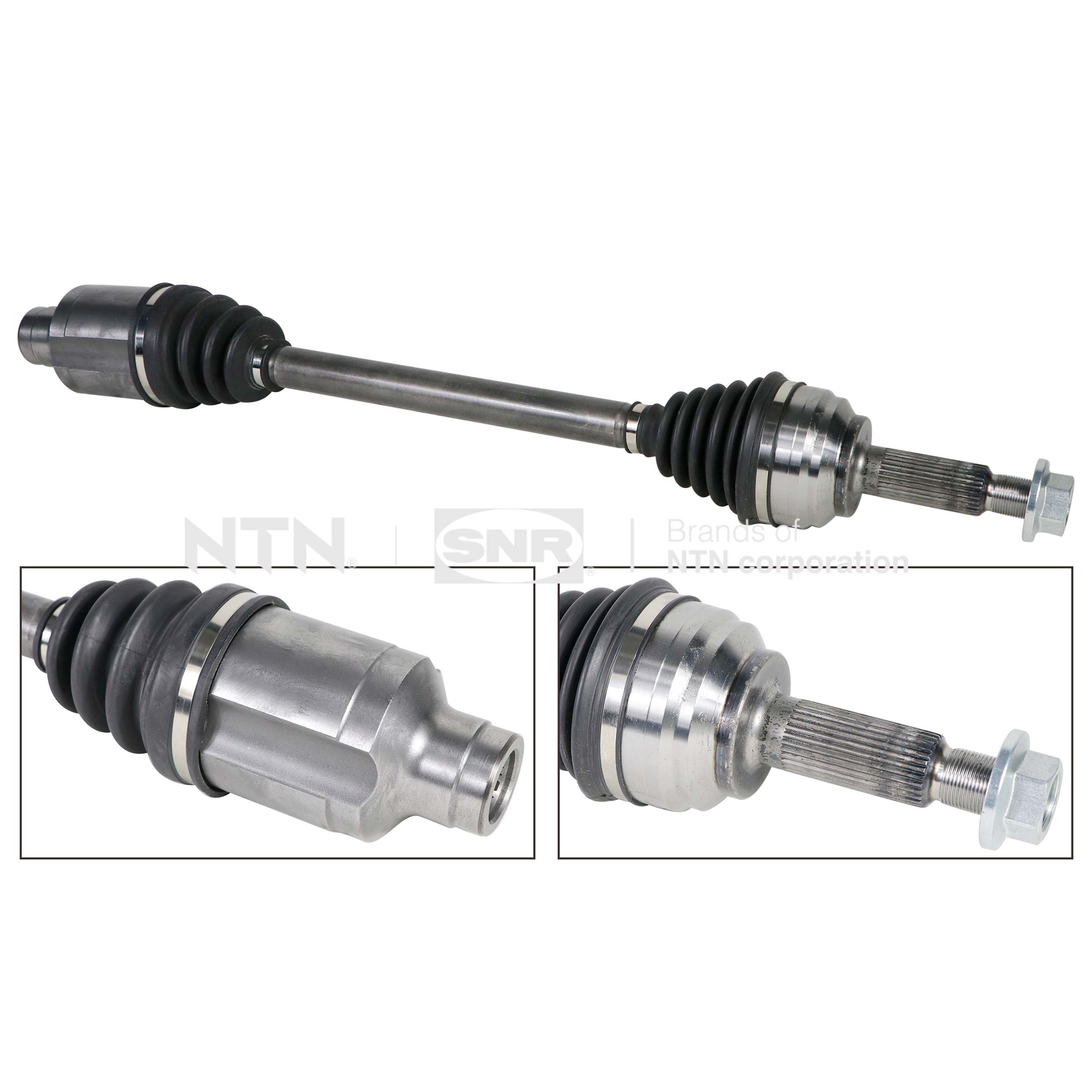 SNR DK20.004 Albero...