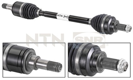 SNR DK50.005 Albero...