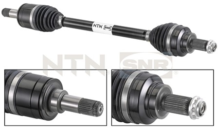 SNR DK50.007 Albero...
