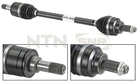 SNR DK50.008 Albero...