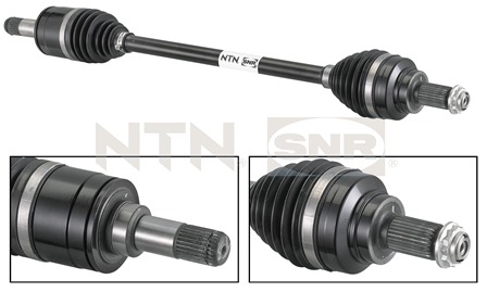 SNR DK50.012 Albero...