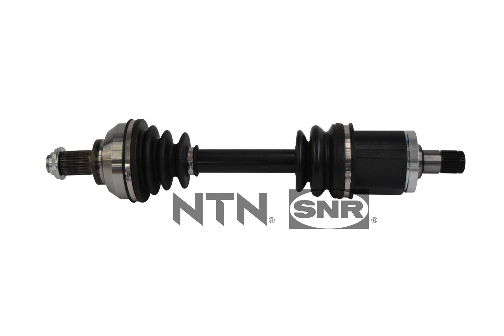 SNR DK50.019 Albero...