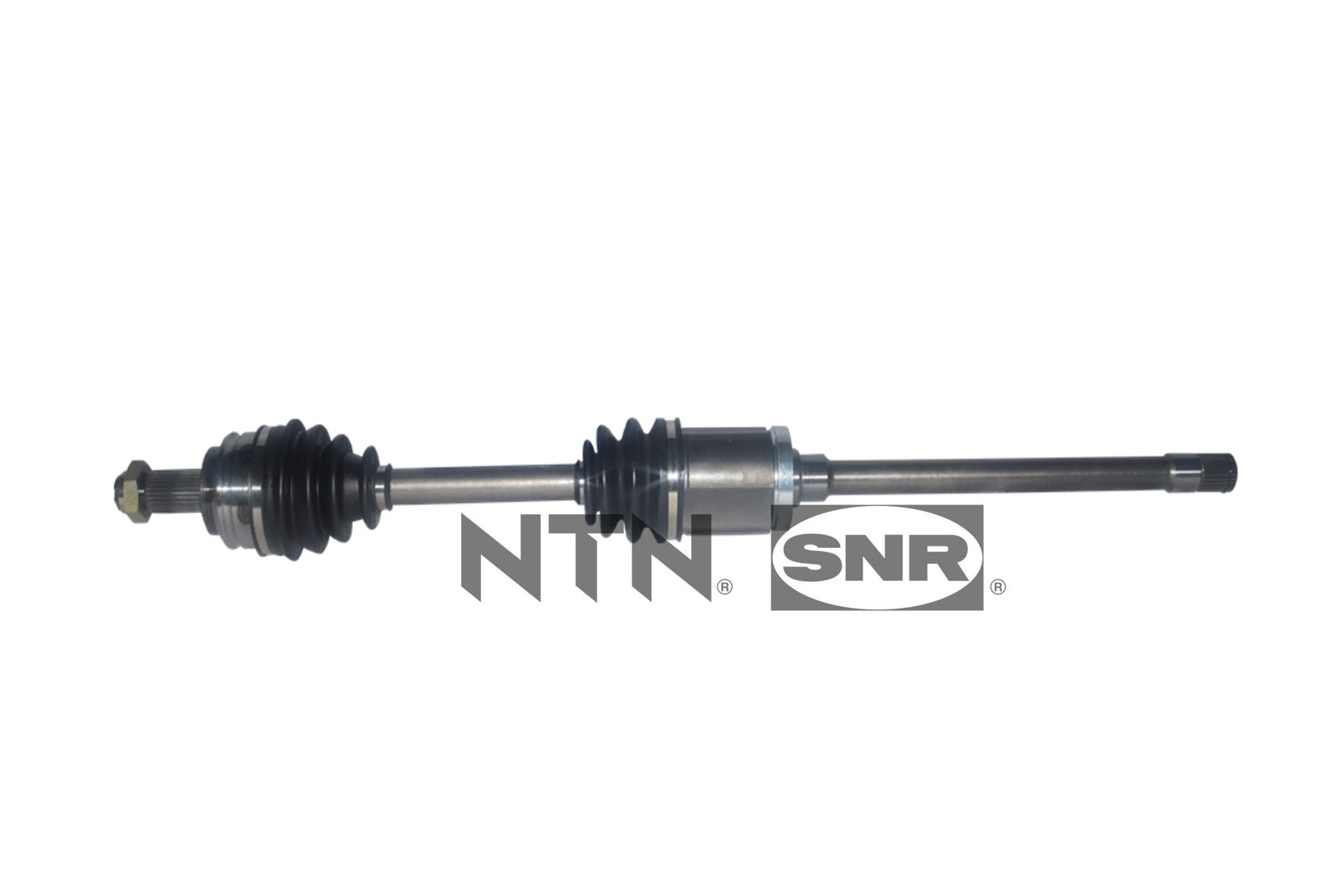 SNR DK50.021 Albero...