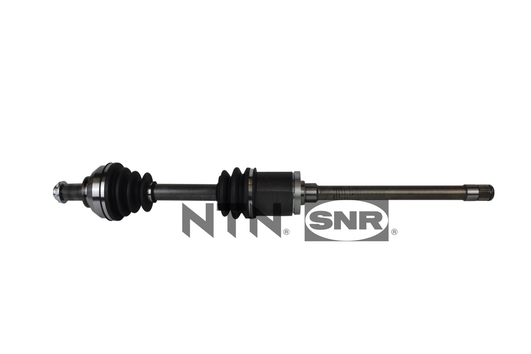 SNR DK50.023 Albero...