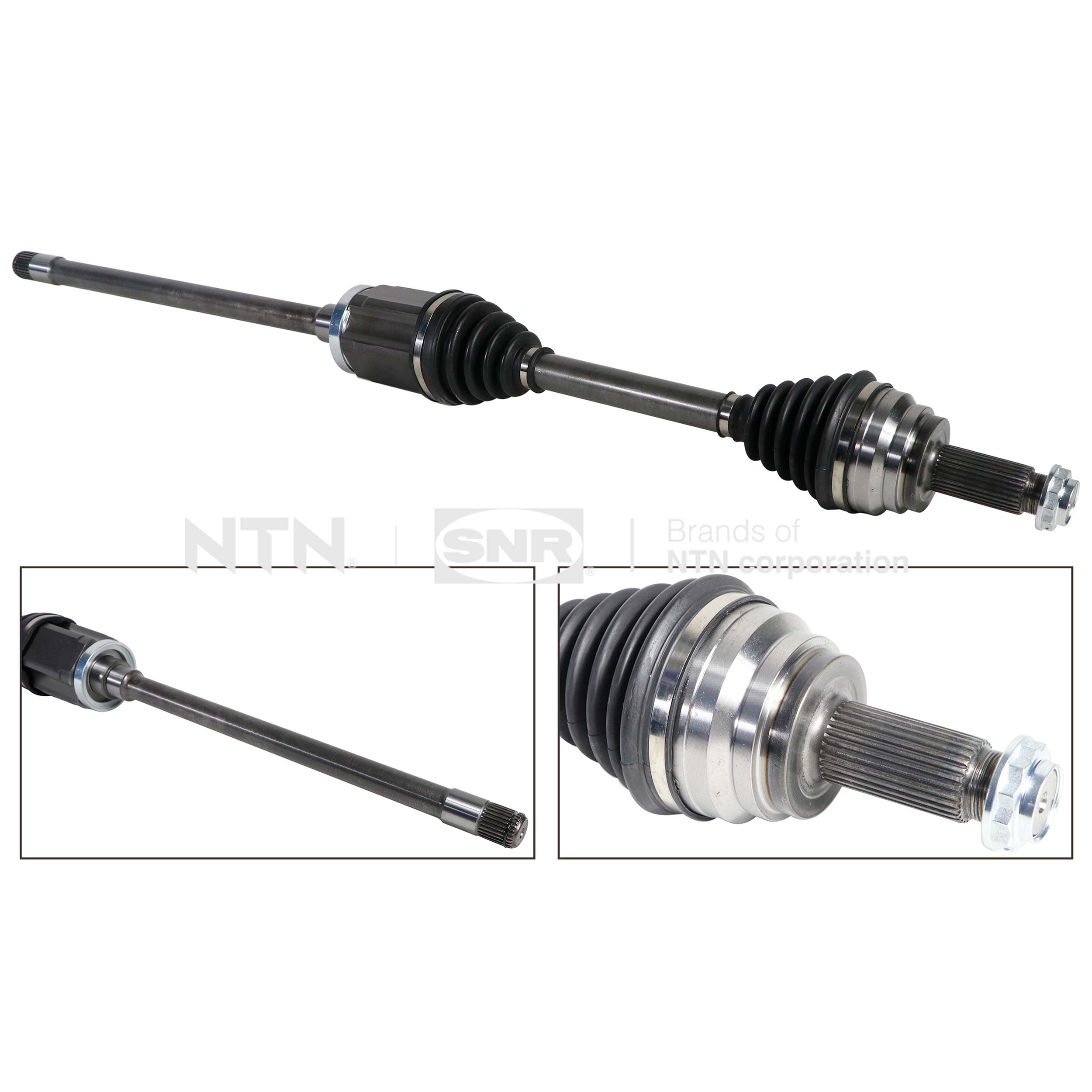 SNR DK50.027 Albero...