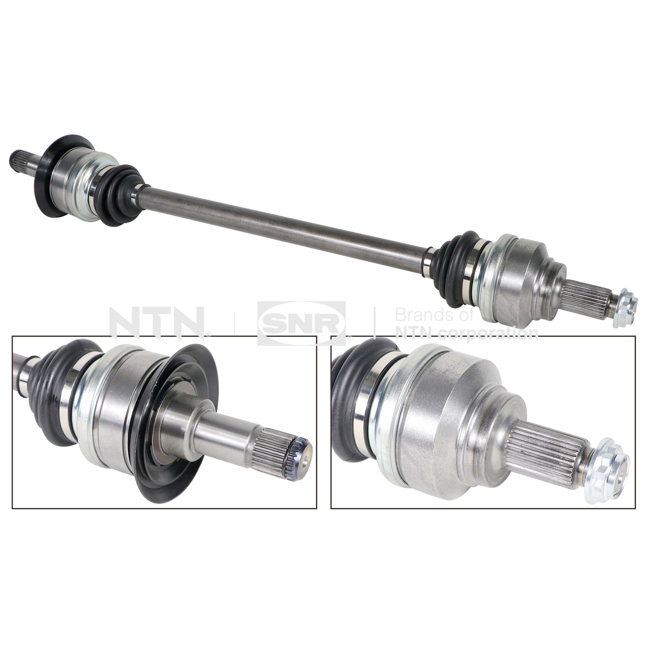 SNR DK50.029 Albero...