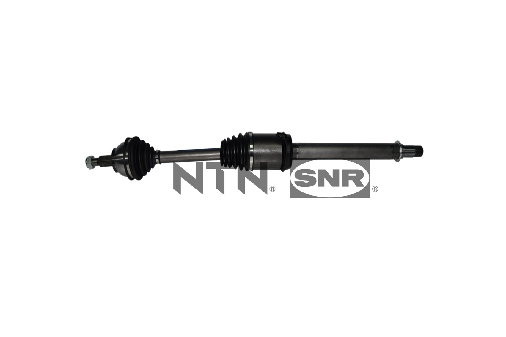 SNR DK51.004 Albero...