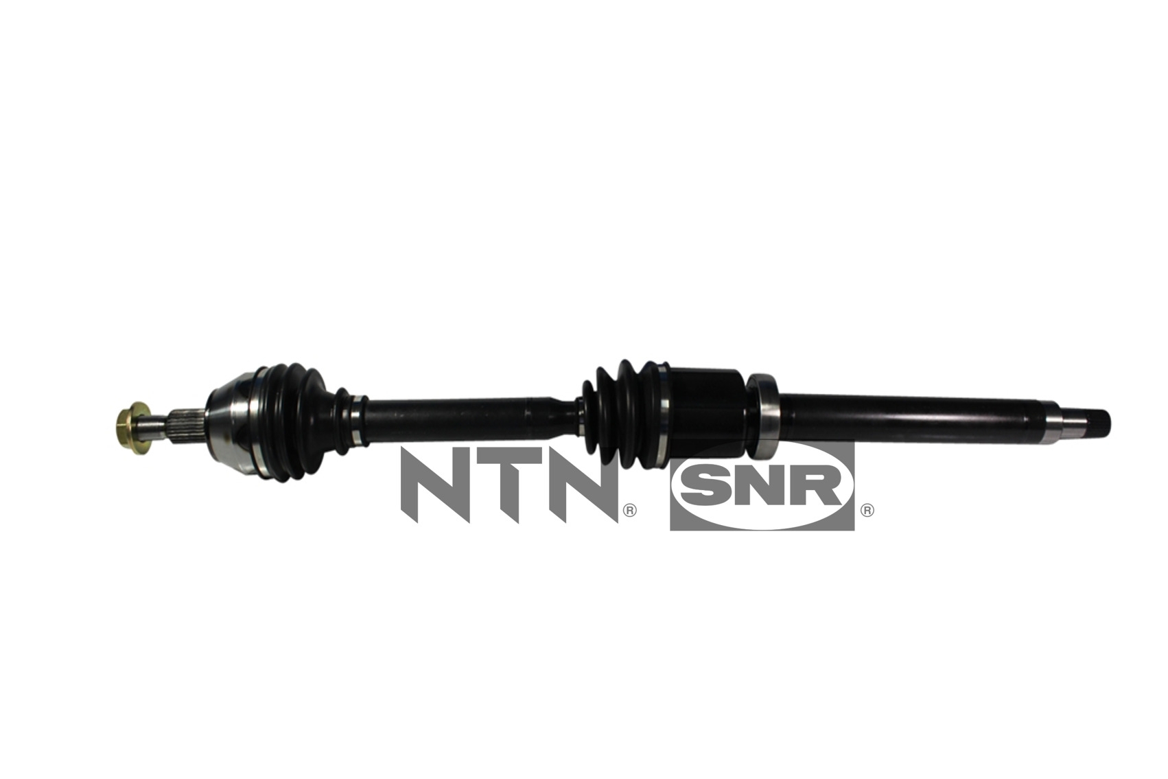 SNR DK52.006 Albero...