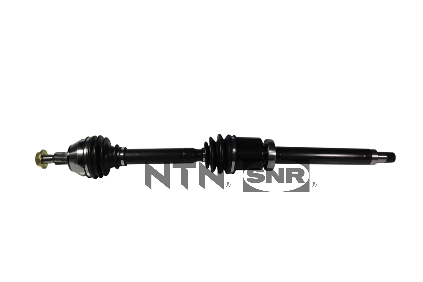 SNR DK52.008 Albero...