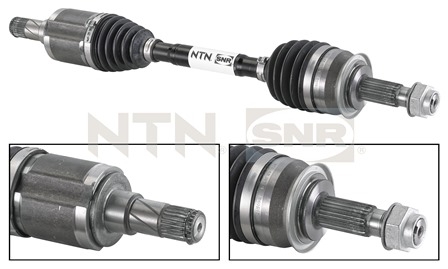 SNR DK53.001 Albero...