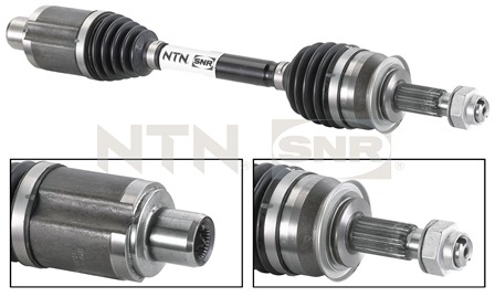 SNR DK53.002 Albero...