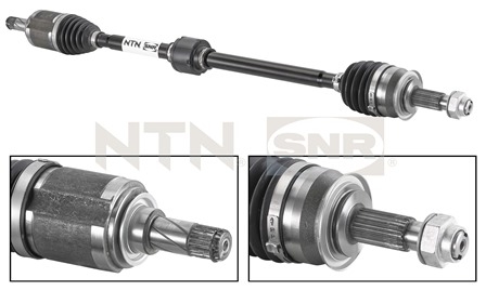 SNR DK53.004 Albero...