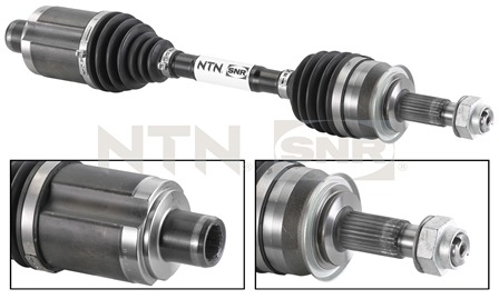 SNR DK53.006 Albero...