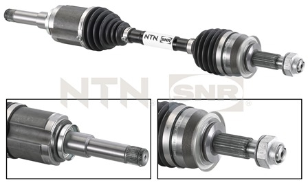 SNR DK53.007 Albero...