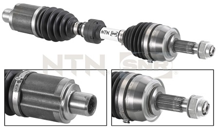 SNR DK53.009 Albero...