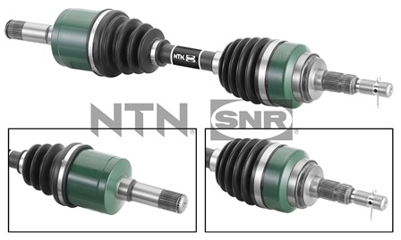 SNR DK53.013 Albero...