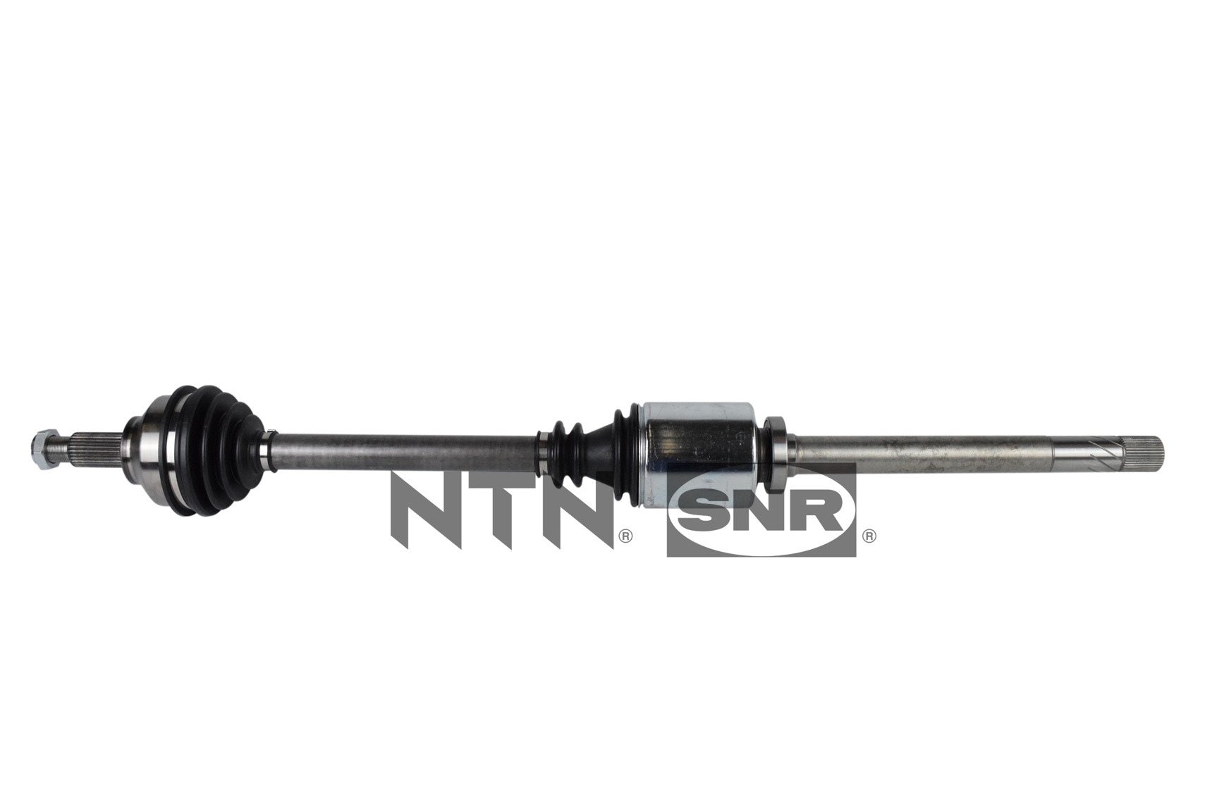 SNR DK53.019 Albero...