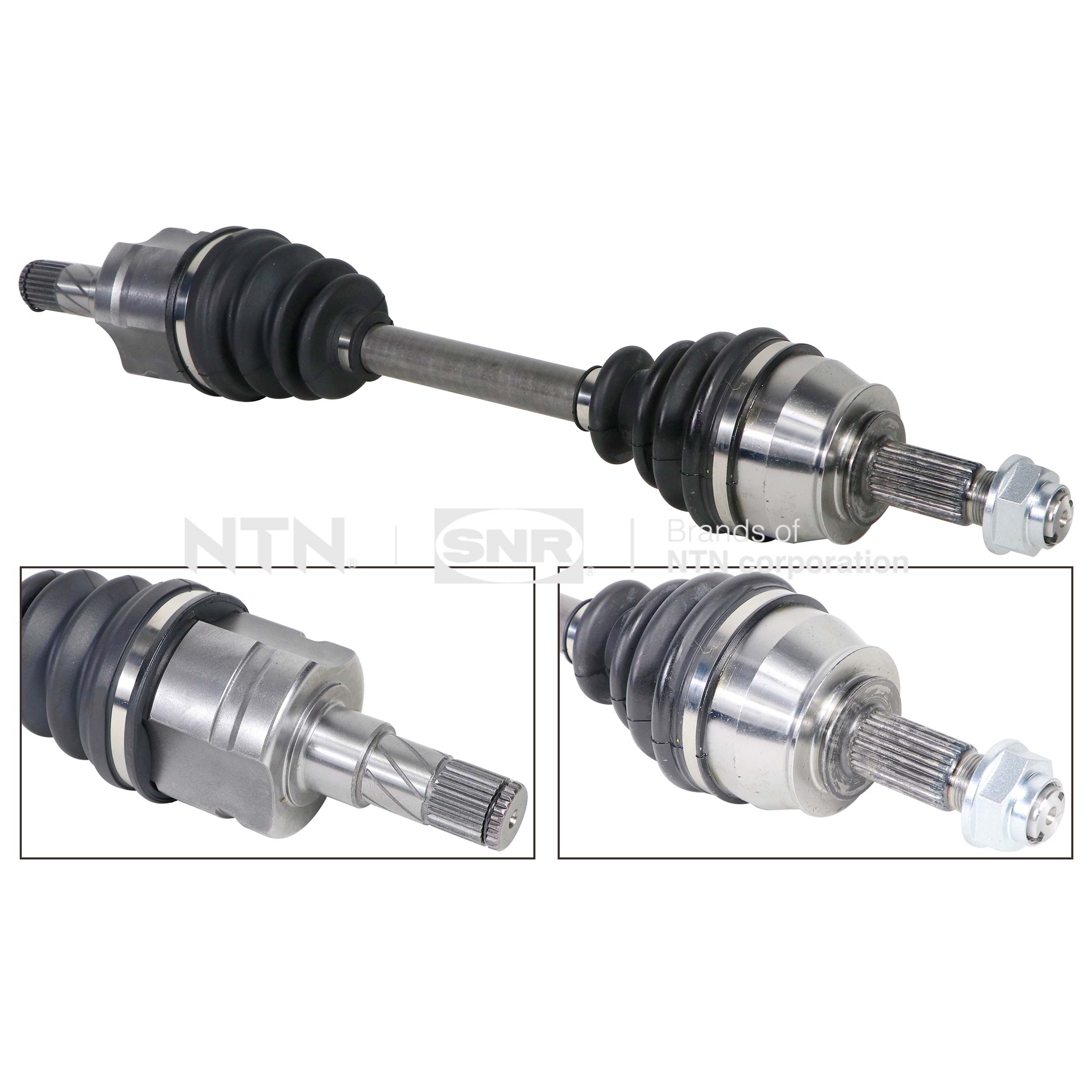 SNR DK53.023 Albero...