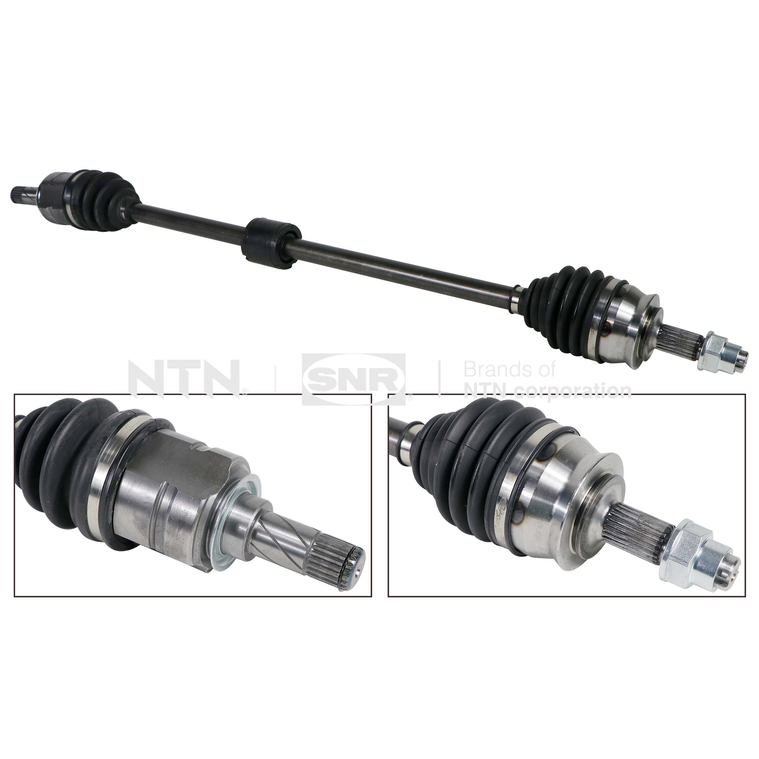 SNR DK53.026 Albero...