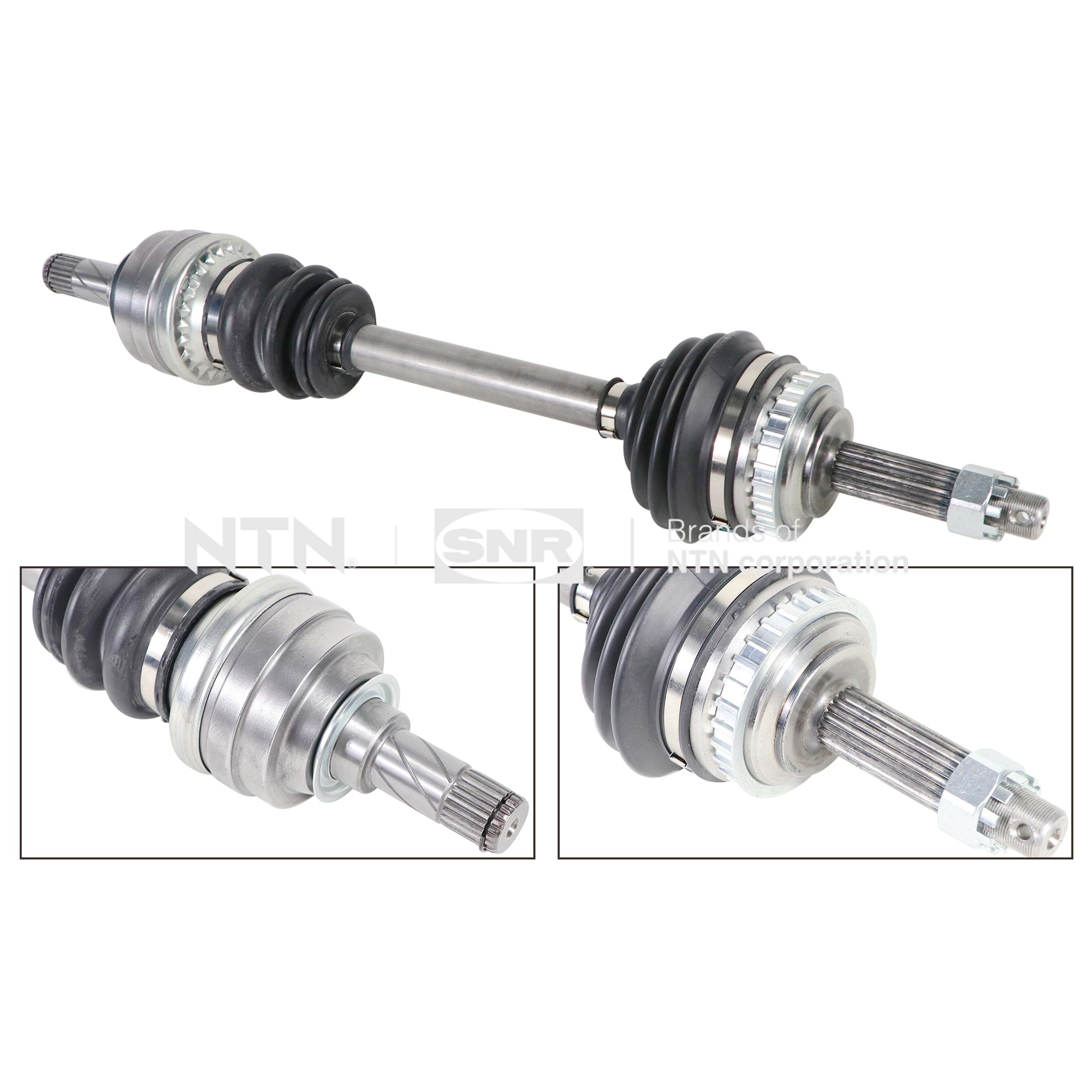 SNR DK53.029 Albero...