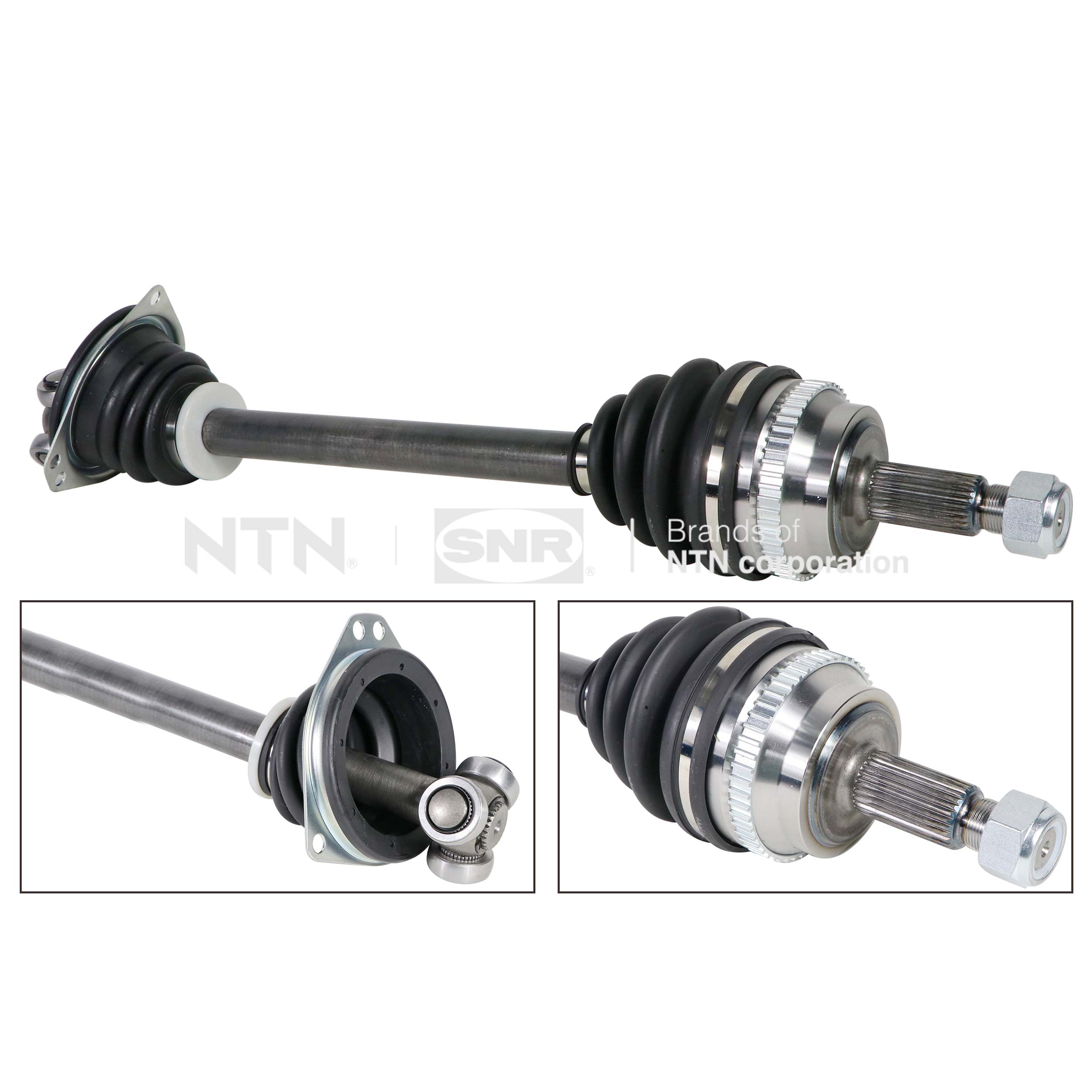 SNR DK53.031 Albero...