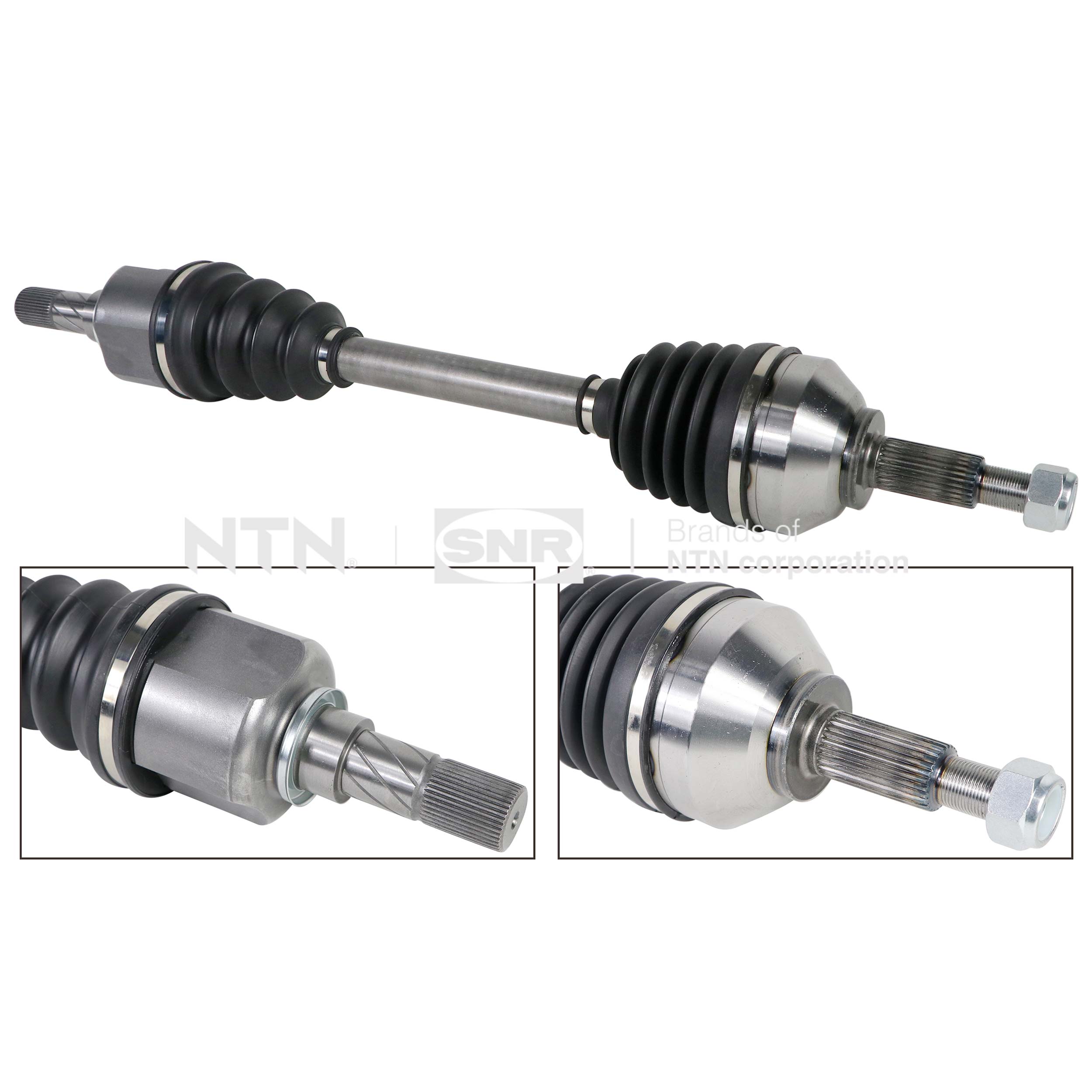 SNR DK53.033 Albero...