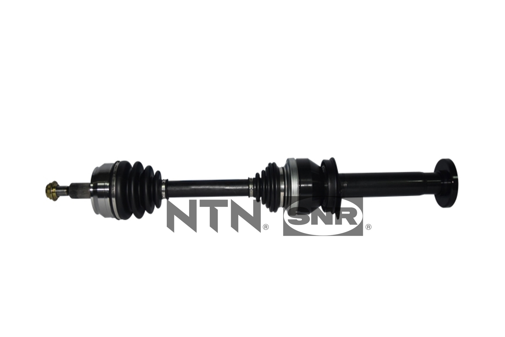 SNR DK54.006 Albero...