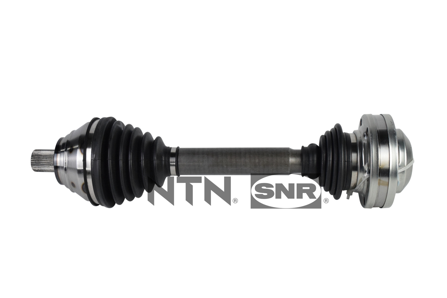 SNR DK54.007 Albero...