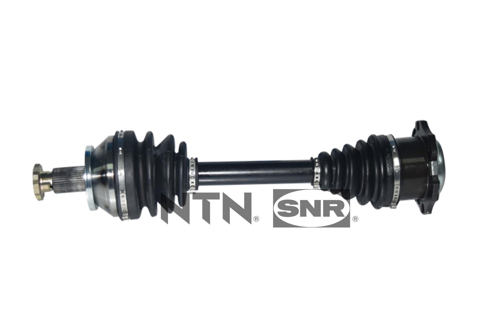 SNR DK54.019 Albero...