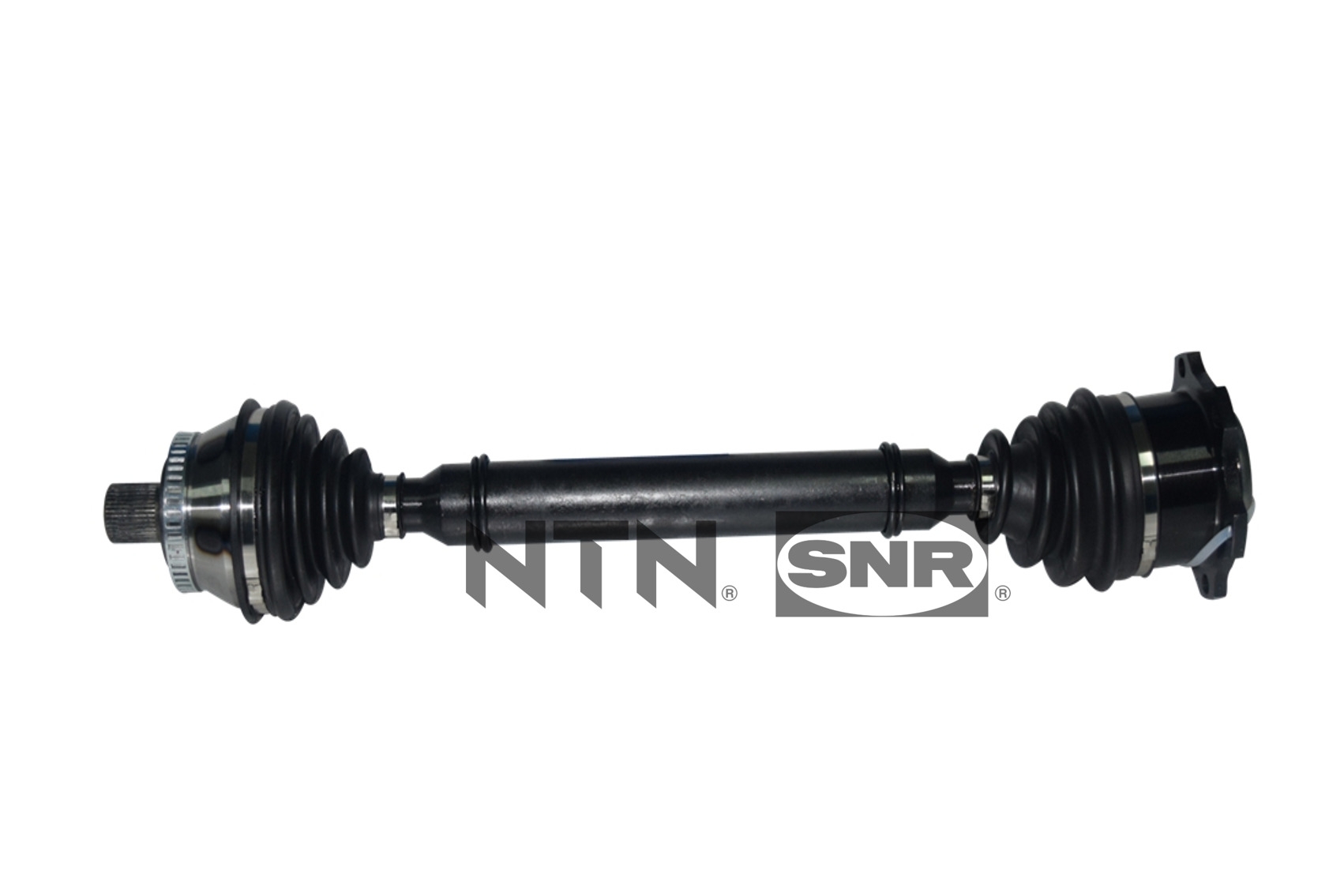 SNR DK54.029 Albero...
