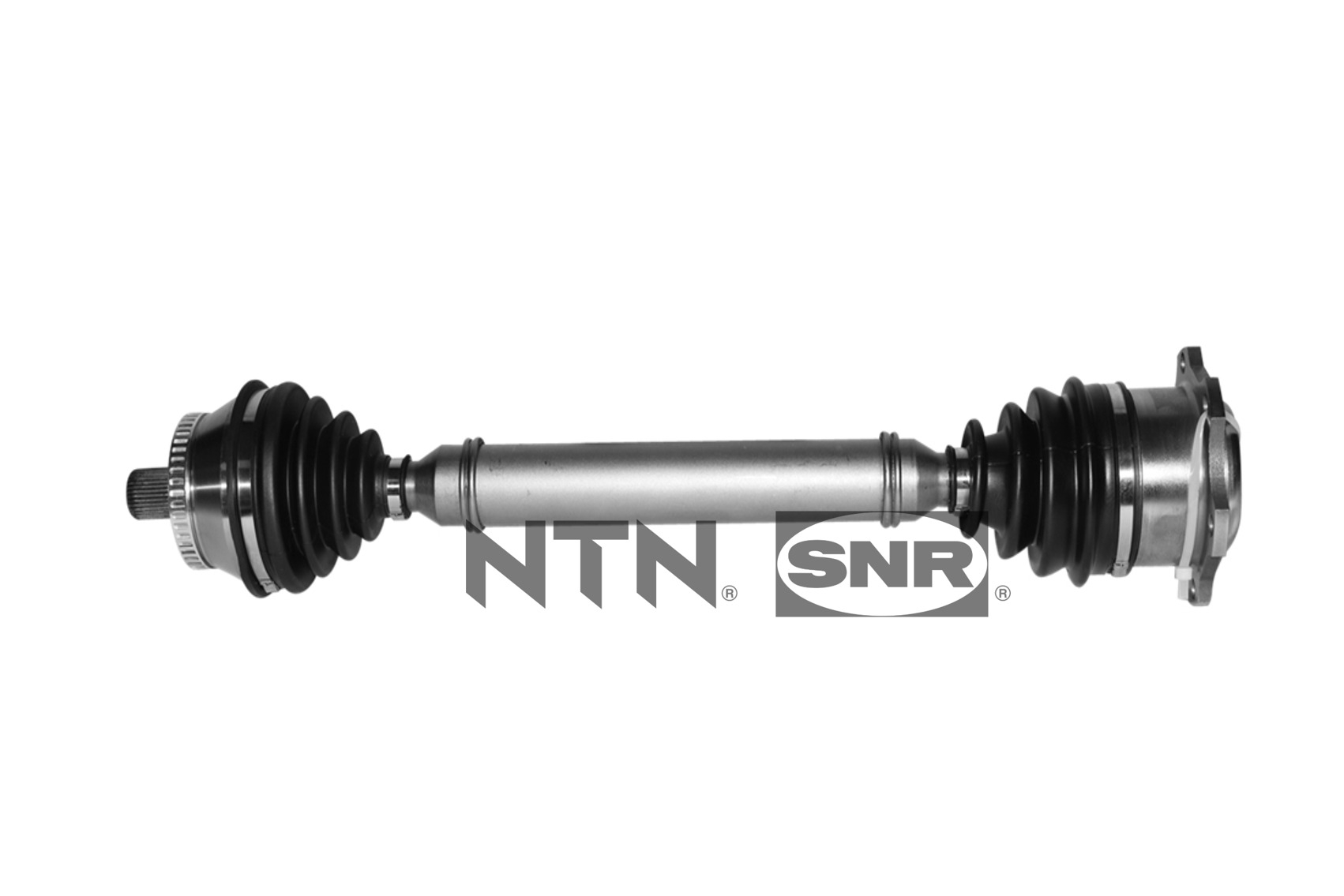 SNR DK54.031 Albero...