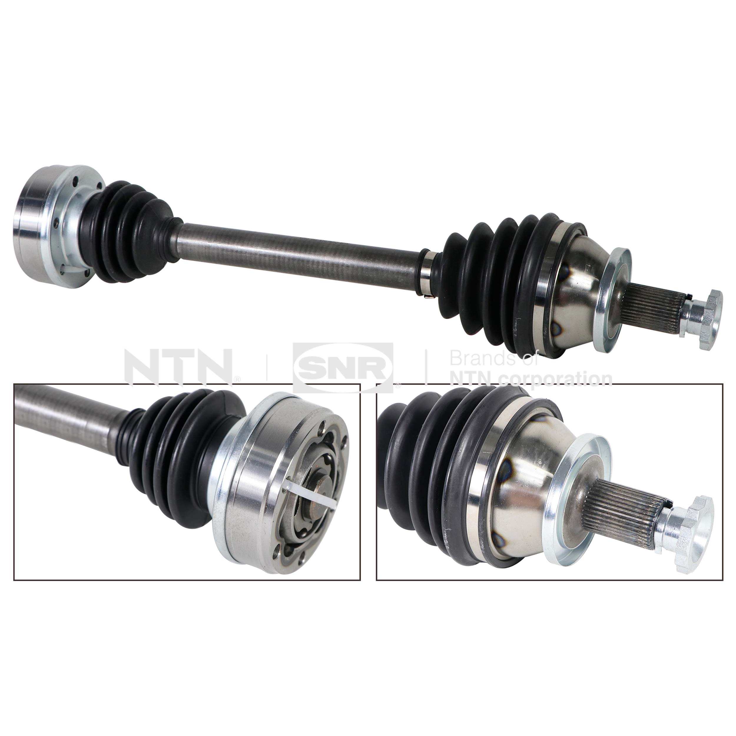 SNR DK54.053 Albero...