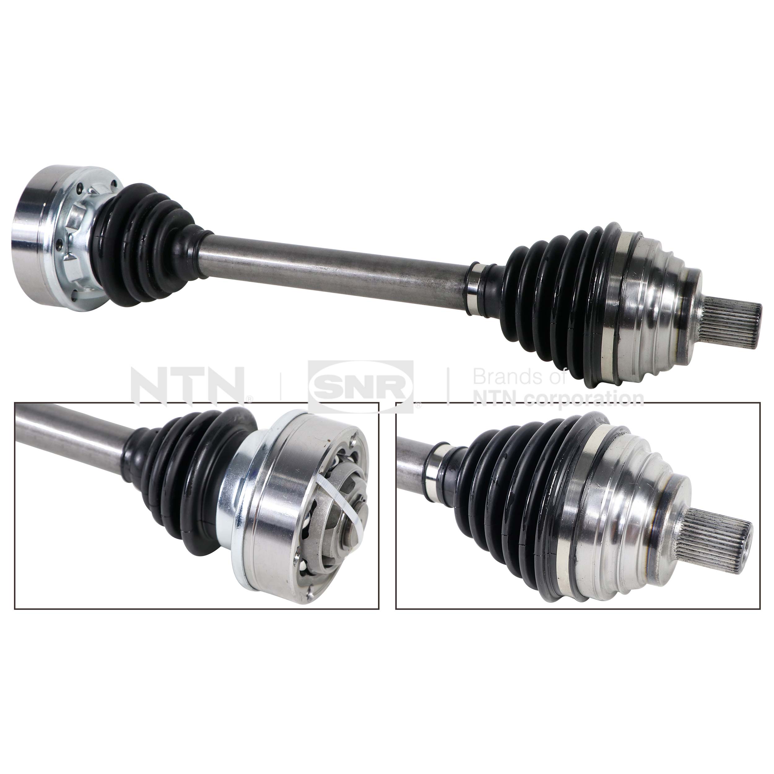 SNR DK54.056 Albero...