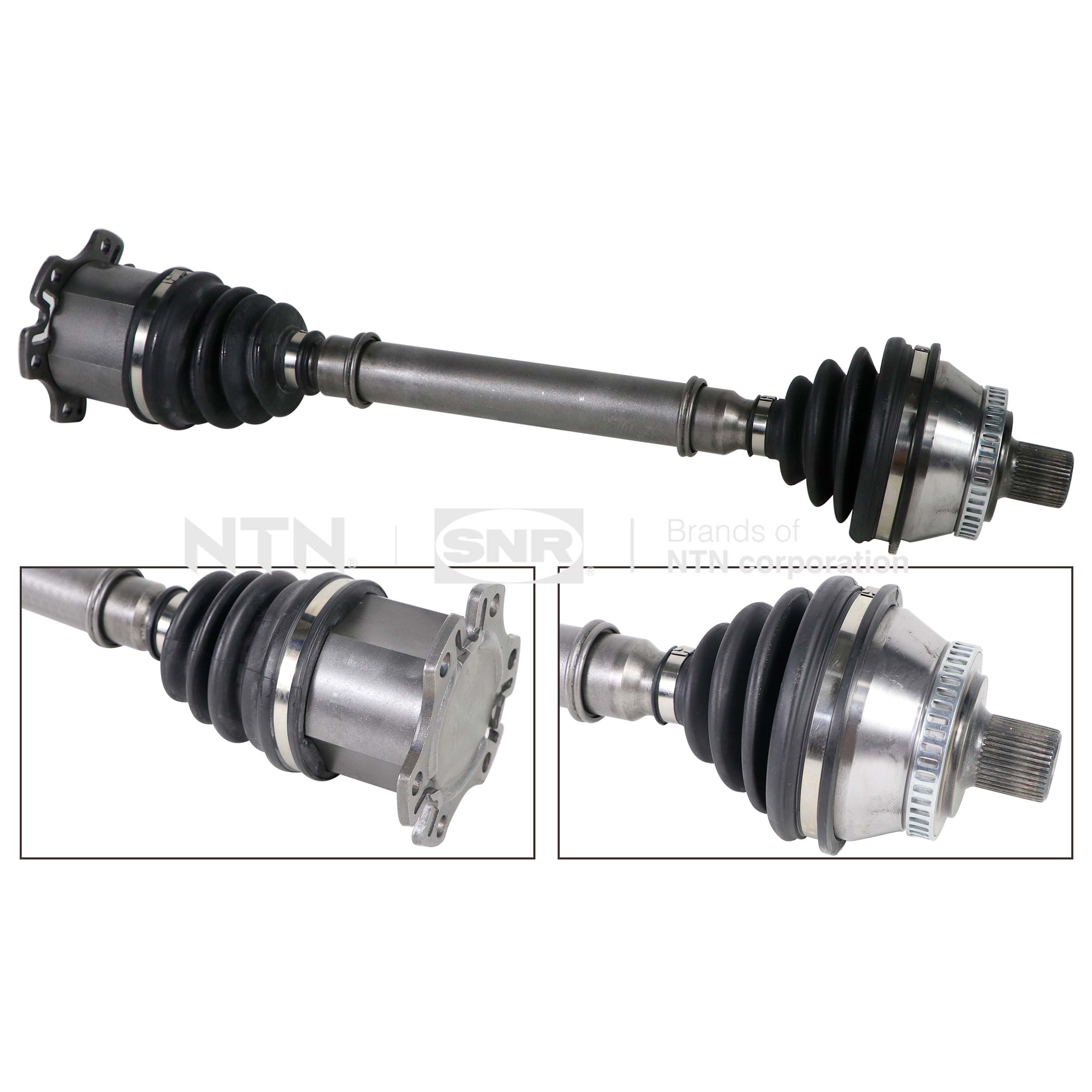 SNR DK54.058 Albero...