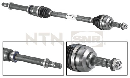 SNR DK55.002 Albero...