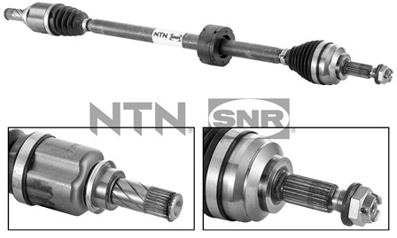 SNR DK55.005 Albero...