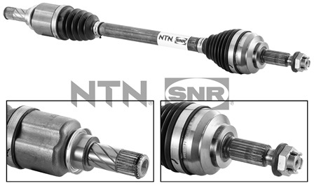 SNR DK55.006 Albero...